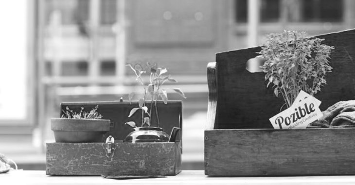 pozible banner bw